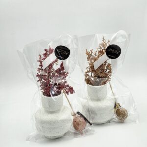 אגרטל<br>מקל פרלין