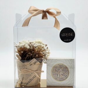 עציץ גיבסנית<br>פרלין מטבע "פורים שמח "